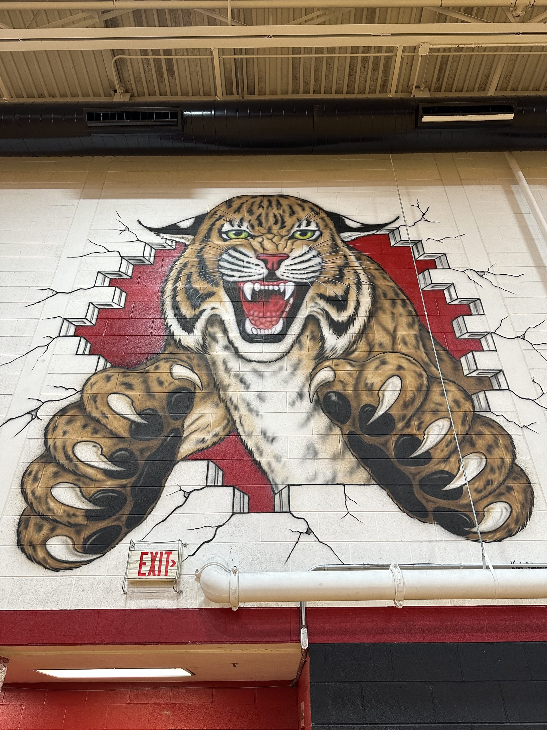 KENTUKIANA 0: Bienvenido al mundo 'Wildcats'